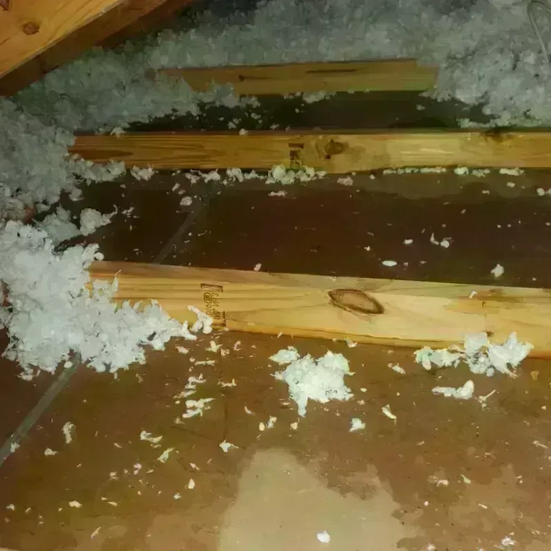 Attic Water Damage in Lake Station, IN