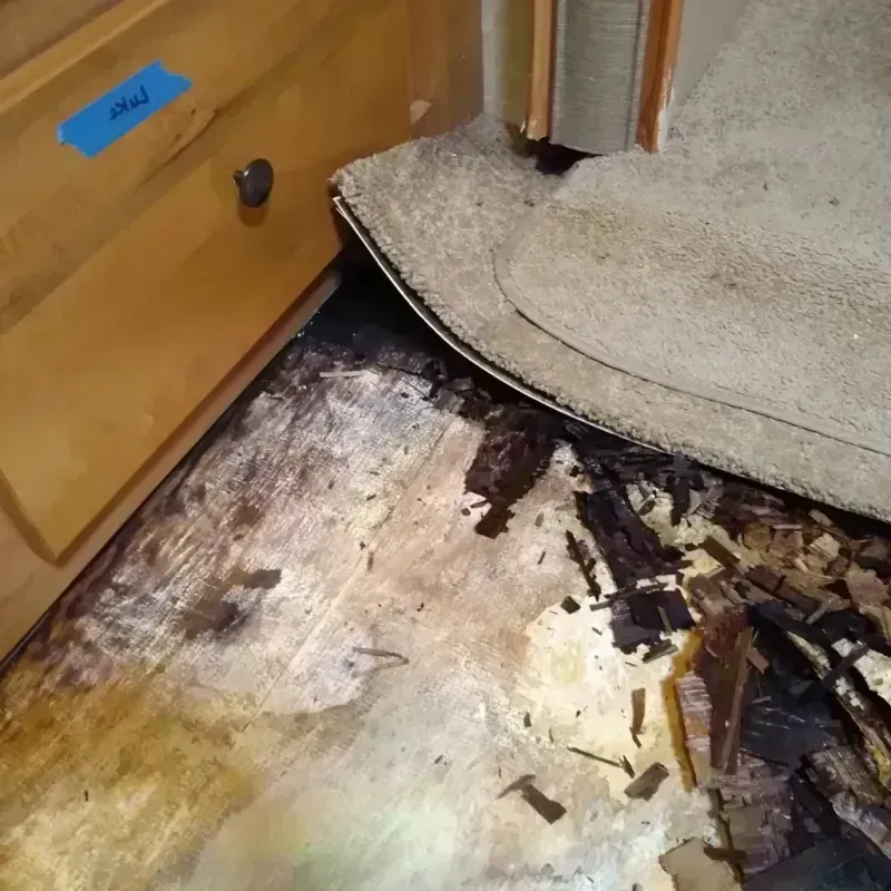 Best Wood Floor Water Damage Service in Lake Station, IN